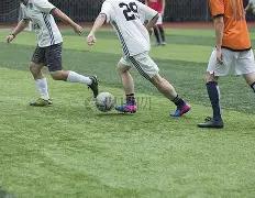 块茎作物抗,逆机制,基因编辑及,yy易游体育官方,yy易游中国体育,YY易游体育官方网站,yy易游体育app下载