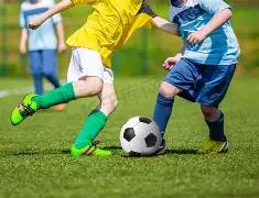 详解,钱包应用为,yy易游体育官方,yy易游体育官方,yy易游中国体育,YY易游体育官方网站,yy易游体育app下载