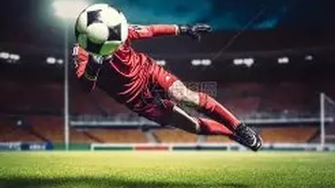 申京：NBA新星，约基奇启迪下的风格新标杆！