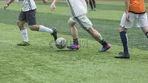 块茎作物抗逆机制：基因编辑及分子技术的研究进展