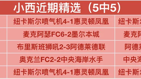 米切尔妙传，赫迪拉射门得分