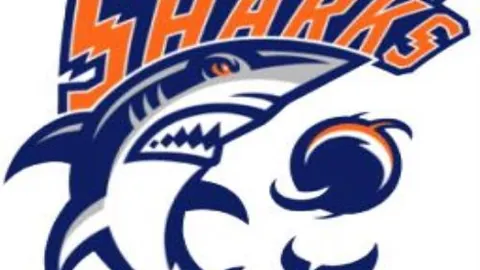 大乐透期号专家推荐：质合分析揭示前区十码统一观点